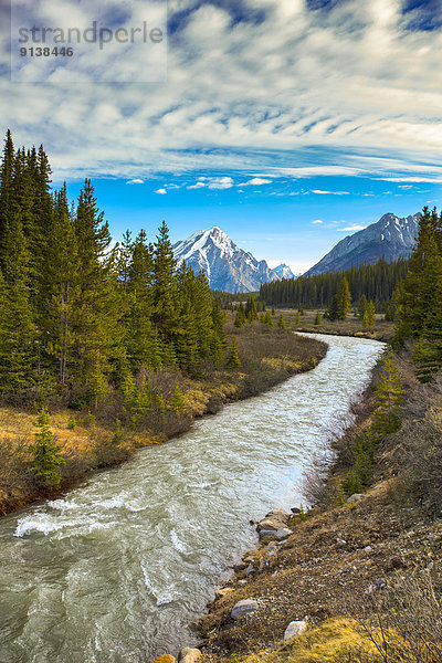 Peter Lougheed Provincial Park  Alberta  Kanada