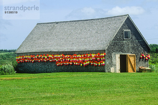 Boje Hummer Seitenansicht Kanada Prince Edward Island