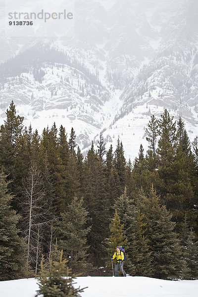 Neugeborenes  neugeboren  Neugeborene  Schneeschuh  Junge - Person  Menschlicher Vater  gehen  Ländliches Motiv  ländliche Motive  Kananaskis Country