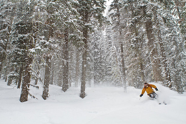 Fröhlichkeit Skifahrer Ruhe drehen Wald unbewohnte entlegene Gegend tief
