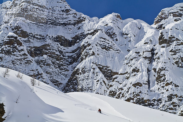 Ski  Skifahrer  Tag  Gesichtspuder  unbewohnte  entlegene Gegend  Entdeckung  Berghüttensänger  Sialia currucoides  Banff Nationalpark  Glocke  tief