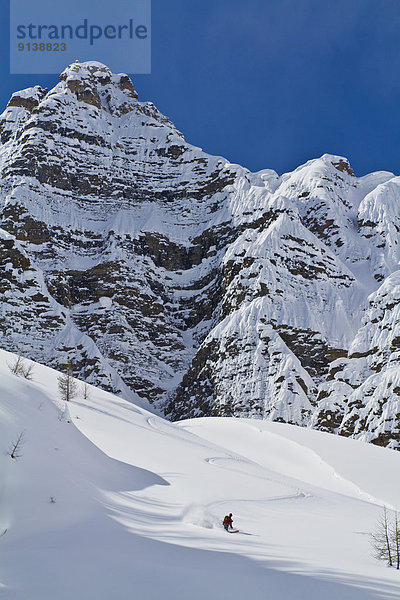 Ski  Skifahrer  Tag  Gesichtspuder  unbewohnte  entlegene Gegend  Entdeckung  Berghüttensänger  Sialia currucoides  Banff Nationalpark  Glocke  tief