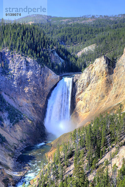 Vereinigte Staaten von Amerika  USA  Yellowstone Nationalpark  Lower Falls  Wyoming