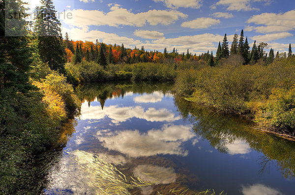 Algonquin Provincial Park  Kanada  Ontario