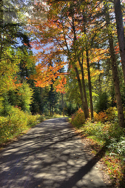 Farbaufnahme  Farbe  Herbst  Ländliches Motiv  ländliche Motive  Algonquin Provincial Park  Kanada  Ontario