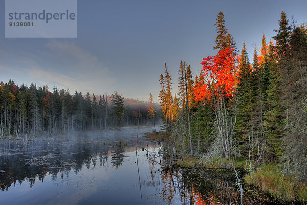 Farbaufnahme  Farbe  Herbst  Ländliches Motiv  ländliche Motive  Algonquin Provincial Park  Morgendämmerung  Kanada  Ontario
