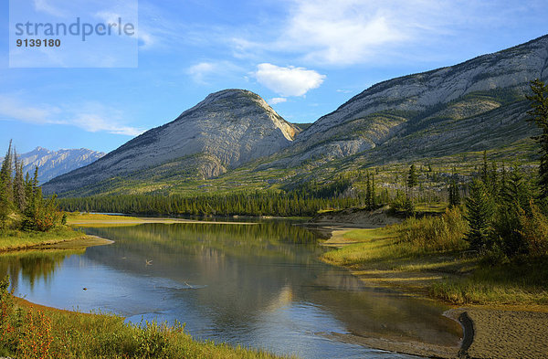 Fotografie  Sommer  Landschaft  Querformat  Fluss  vorwärts  Athabasca River  Jasper Nationalpark