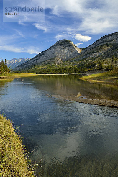 Fotografie  Sommer  Landschaft  Fluss  vorwärts  Athabasca River  Jasper Nationalpark
