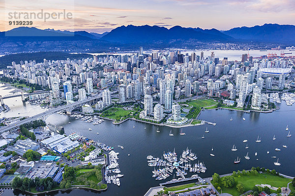 Bach  Fokus auf den Vordergrund  Fokus auf dem Vordergrund  unaufrichtig  Vancouver