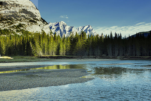 Peter Lougheed Provincial Park  Alberta  Kanada