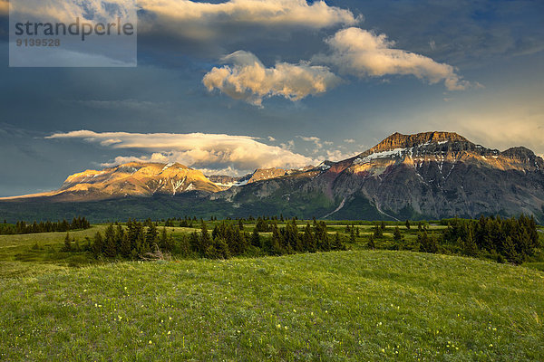 Waterton Lakes Nationalpark  Alberta  Kanada