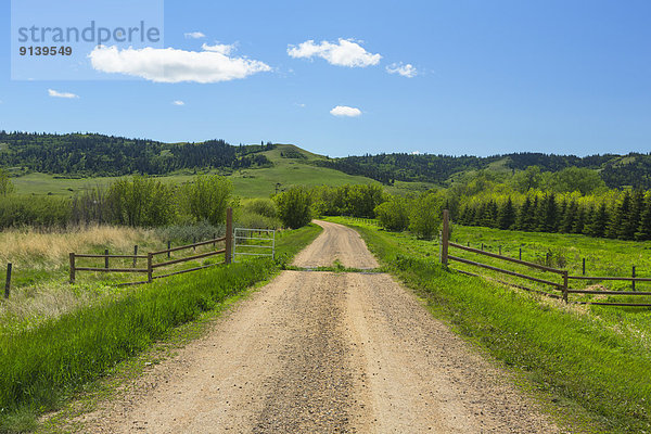 Alberta  Kanada