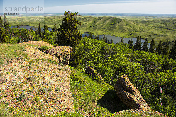 Saskatchewan  Kanada  Cypress Hills Interprovincial Park