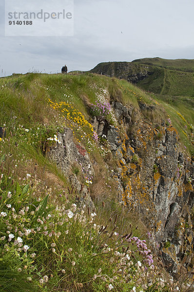 County Antrim  Nordirland