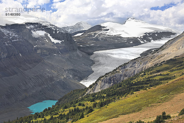 Eisfeld  Banff Nationalpark  Alberta  Kanada