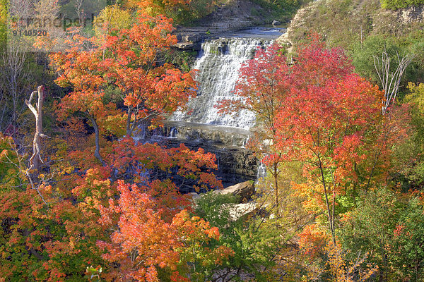 Albion Falls  Autumn Niagara Escarpment Ontario Canada
