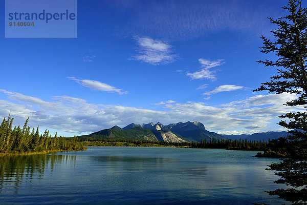 Wasserrand  zeigen  Wasser  Berg  Fotografie  Sommer  Baum  Landschaft  See  blau  Menschenreihe  Jasper Nationalpark