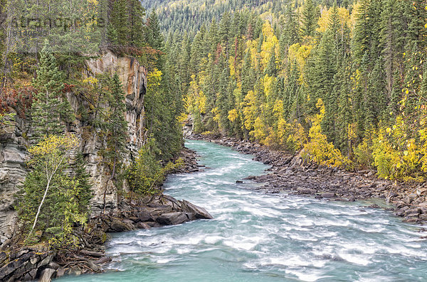 nahe  Fluss  Ländliches Motiv  ländliche Motive  Fraser River  Valemount  British Columbia  britisch  Kanada
