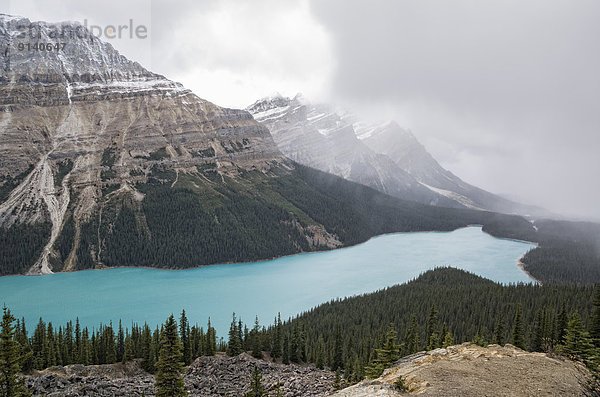 Banff Nationalpark  Alberta  Kanada