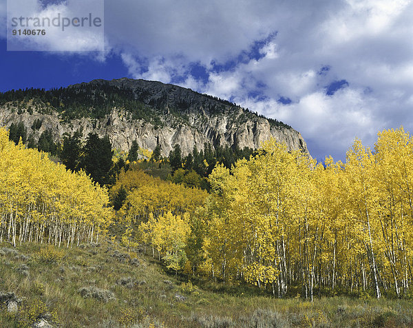 Colorado  Crested Butte