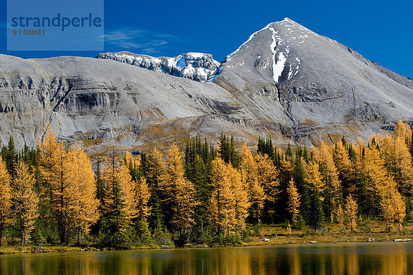 British Columbia  Kanada