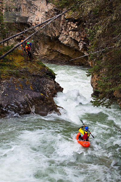 heraustropfen  tropfen  undicht  Kajakfahrer  Wasserfall  Banff Nationalpark  Schlucht
