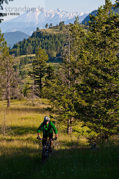 niedlich  süß  lieb  Berg  fahren  Fernie  British Columbia  Weg