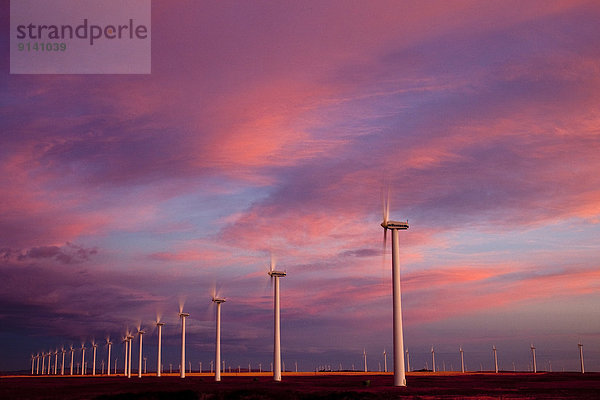 Windturbine  Windrad  Windräder  nahe  Morgendämmerung  Elektrizität  Strom  Produktion  Festung  Kanada  handhaben  Stärke