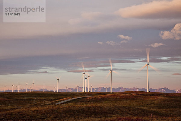 Windturbine  Windrad  Windräder  nahe  Morgendämmerung  Elektrizität  Strom  Produktion  Festung  Kanada  handhaben  Stärke