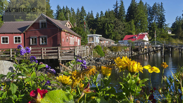 Jachthafen  Bamfield  British Columbia  British Columbia  Kanada