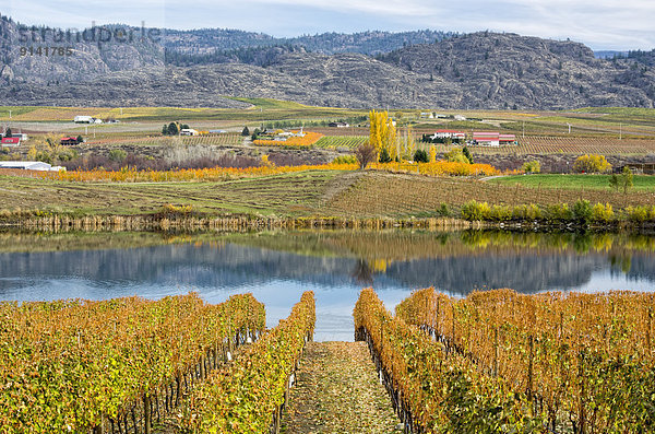 Gebäude Ansicht Weinberg Kanada