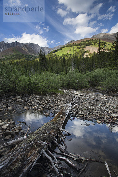 Alberta  Kanada  Kananaskis Country