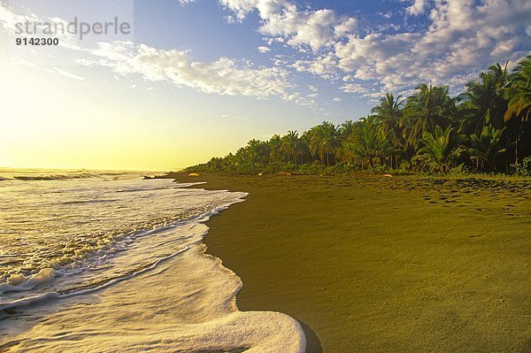 nahe  Strand  Sonnenaufgang  zerbrechen brechen  bricht  brechend  zerbrechend  zerbricht  Zitrone  Costa Rica