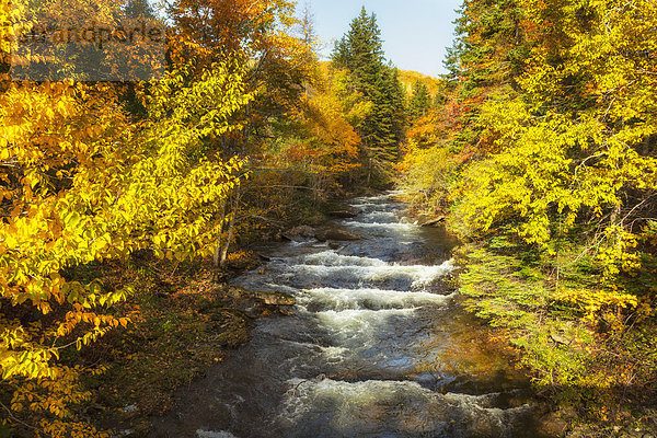 Kanada  Nova Scotia  Neuschottland