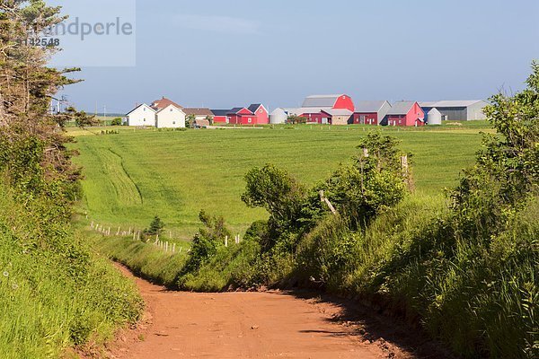 Landstraße Kanada Prince Edward Island