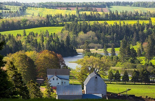 Bauernhof Hof Höfe Kanada Prince Edward Island