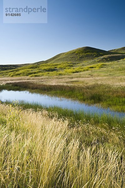 West Block  Grasslands-Nationalpark  Saskatchewan  Kanada
