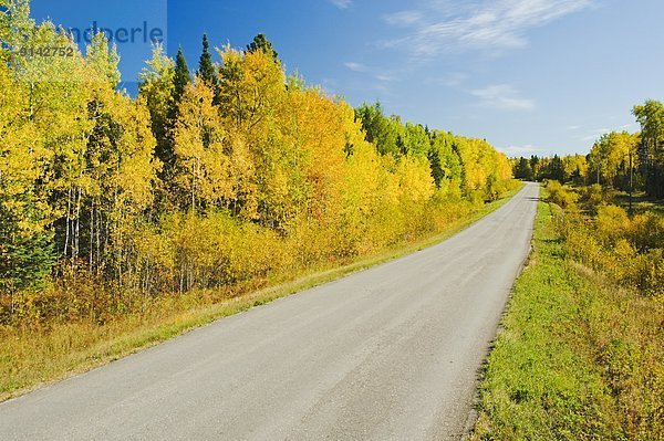 gehen  Fernverkehrsstraße  Herbst  vorwärts  Ländliches Motiv  ländliche Motive  Kanada  Manitoba