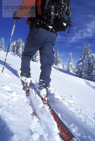Skisport  British Columbia  Kanada  Selkirk Mountains