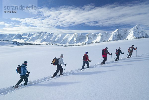 Berg  Wiese  Ski  British Columbia  Kanada  Linie