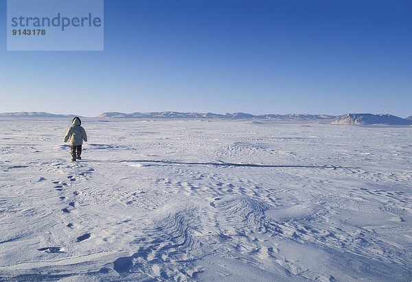 Mann  gehen  Einsamkeit  Fjord  Ellesmere Island  Kanada  gefroren  Inuit  Nunavut