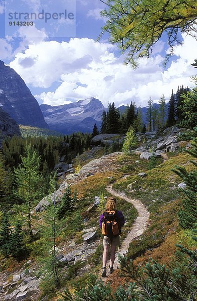 nahe  Frau  See  wandern  Hochebene  Yoho Nationalpark  Lake O'Hara  British Columbia  Kanada