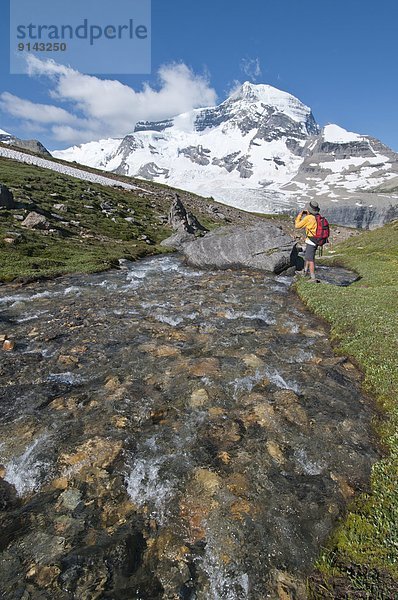 Mount Robson Provincial Park  British Columbia  Kanada