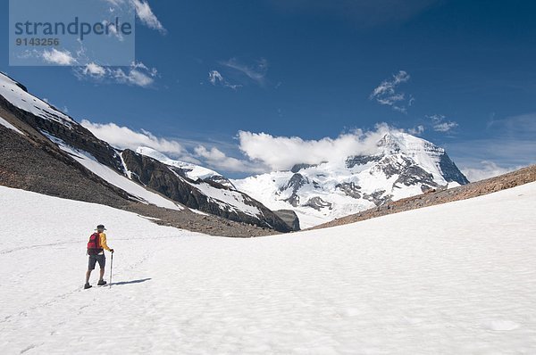 Ignoranz  wandern  Eisfeld  Mount Robson Provincial Park  British Columbia  Kanada