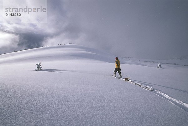 Frau  ziehen  Einsamkeit  Schlitten  Schneeschuh  British Columbia  Kanada  Selkirk Mountains