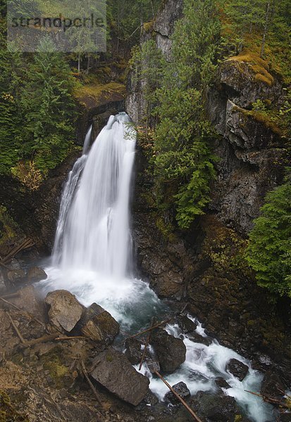 Strathcona Provincial Park  British Columbia  Kanada  Vancouver Island