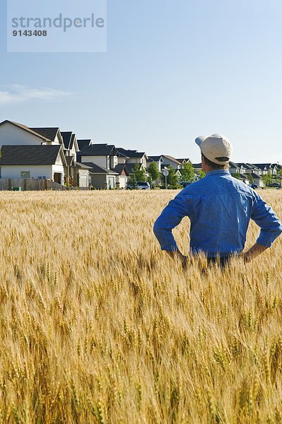 Gebäude Entwicklung Hintergrund reifer Erwachsene reife Erwachsene Feld Bauer Weizen hinaussehen