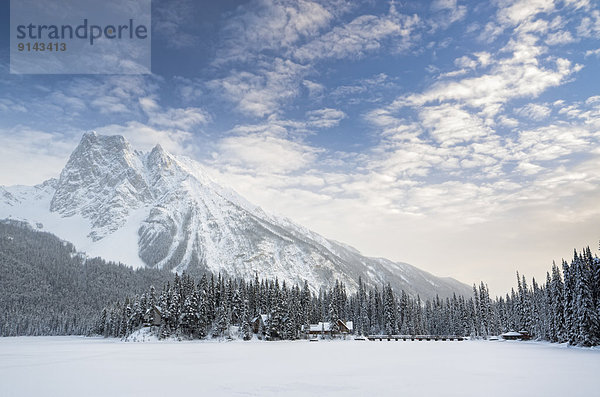 Feld British Columbia Kanada