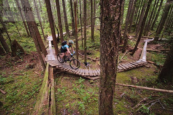 Mountain biking in Cumberland  Vancouver Island  British Columbia  Canada