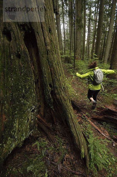 Berg  folgen  rennen  Cypress Provincial Park  britisch  Kanada